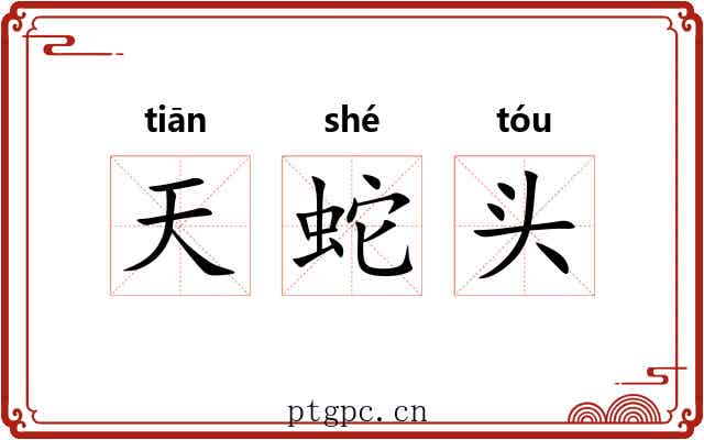 天蛇头