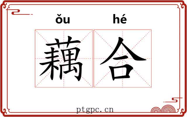 藕合 藕合