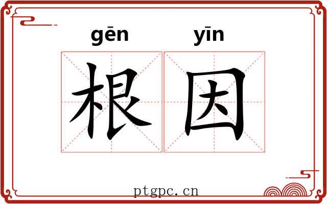 根因
