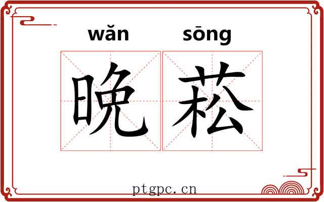 晩菘