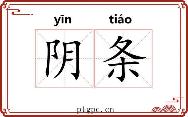 阴条 阴条