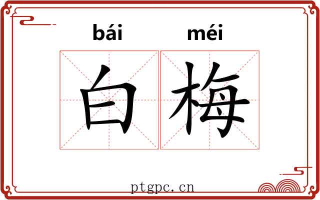 白梅