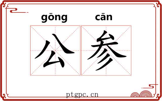 公参 公参