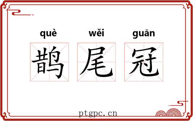 鹊尾冠 鹊尾冠