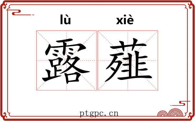 露薤 露薤