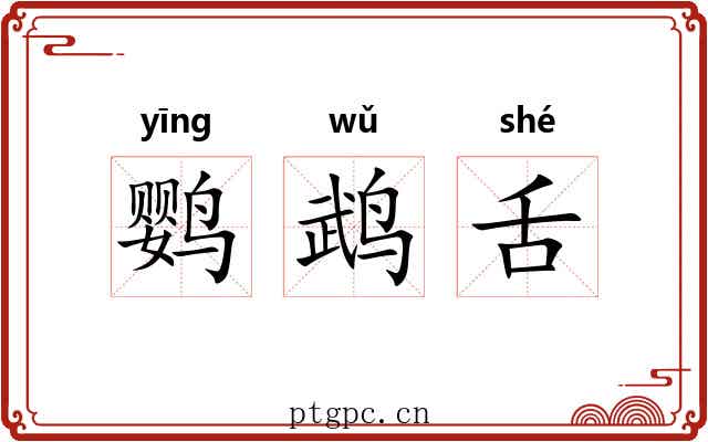 鹦鹉舌