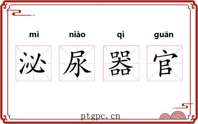 泌尿器官
