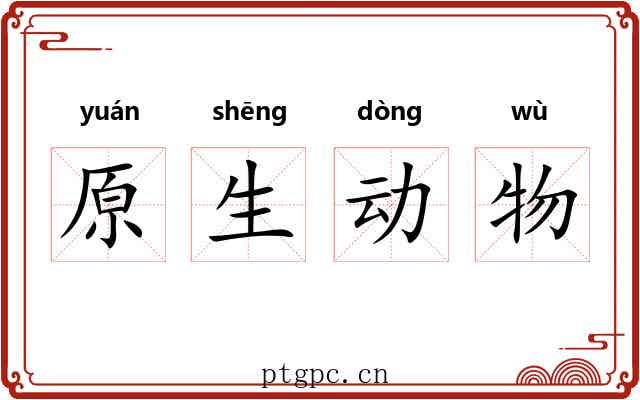 原生动物