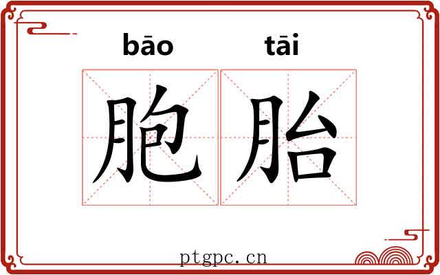 胞胎