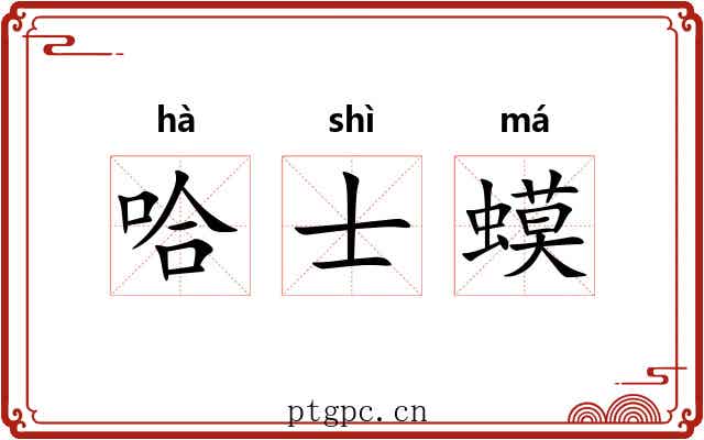 哈士蟆 哈士蟆