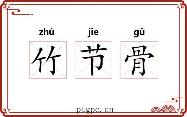 竹节骨 竹节骨