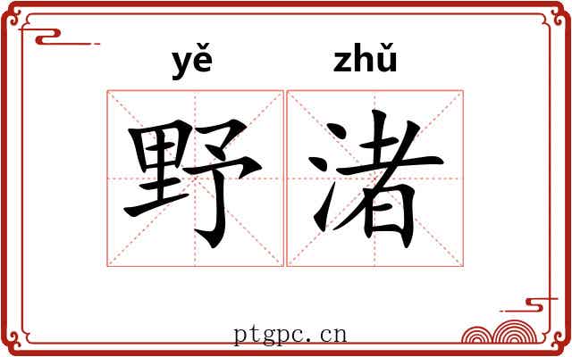 野渚