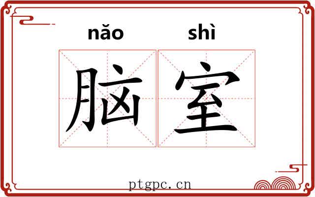 脑室