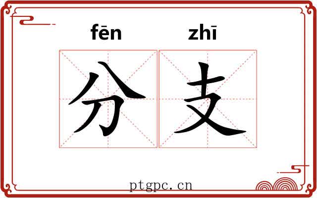 分支 分支