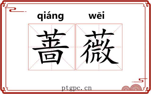 蔷薇
