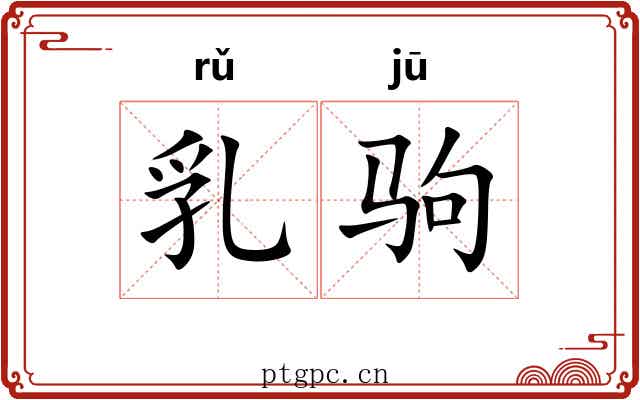 乳驹