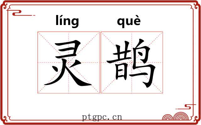 灵鹊