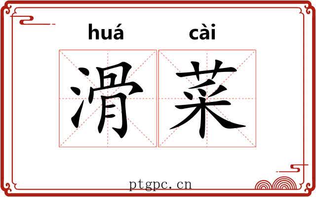 滑菜