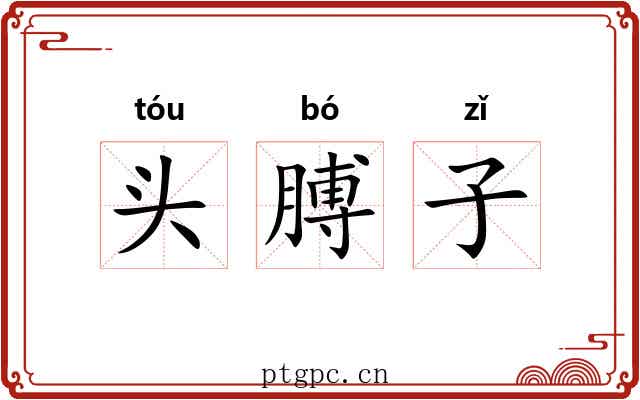 头膊子