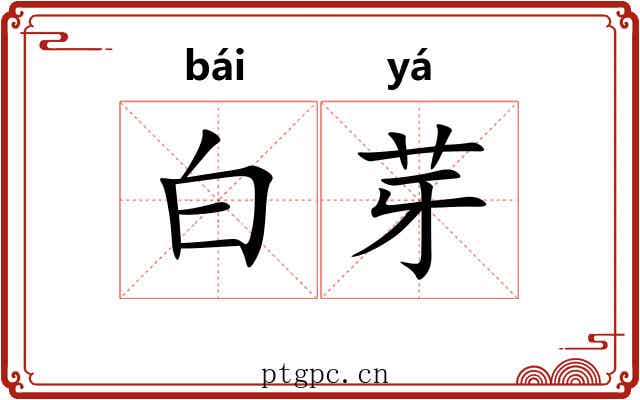 白芽 白芽
