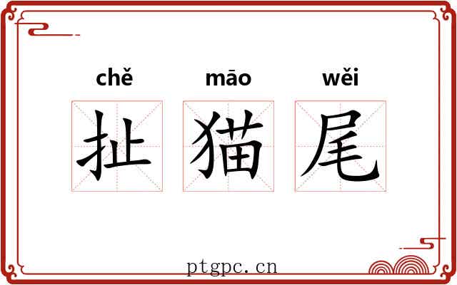 扯猫尾
