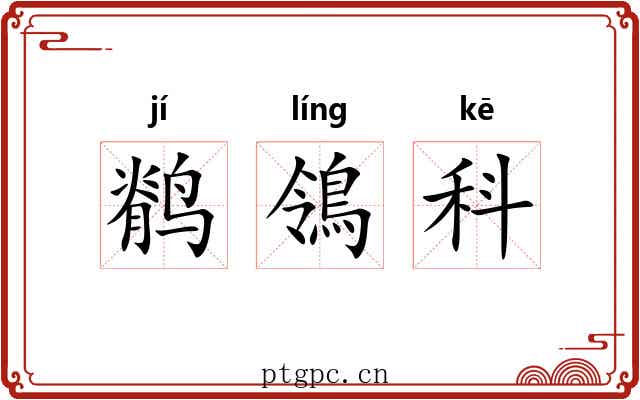 鹡鴒科