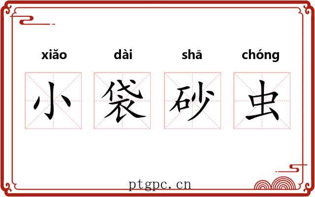 小袋砂虫 小袋砂虫