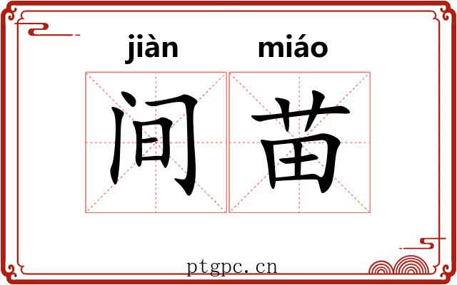 间苗