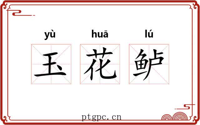 玉花鲈