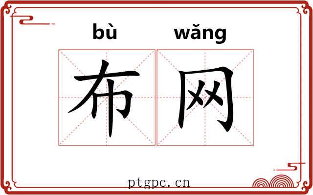 布网