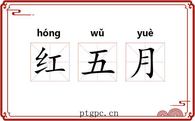 红五月 红五月