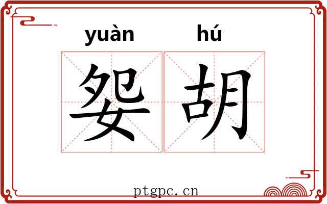 妴胡 妴胡