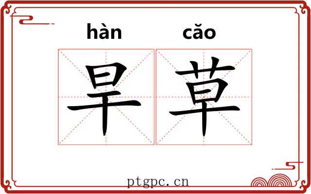旱草