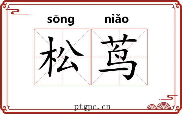 松茑