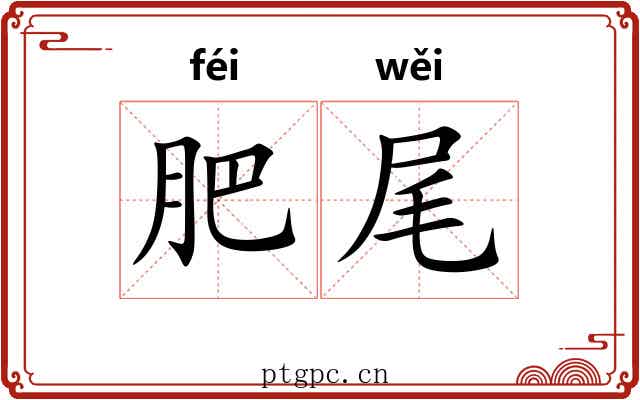肥尾