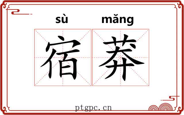 宿莽