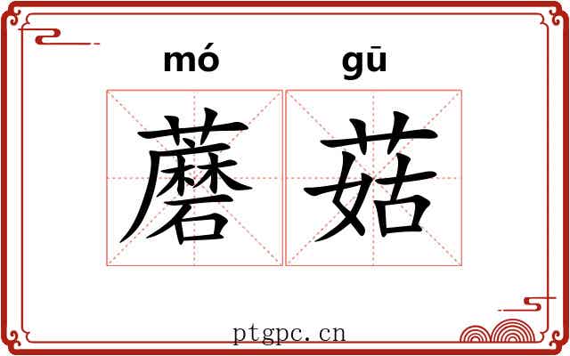 蘑菇 蘑菇