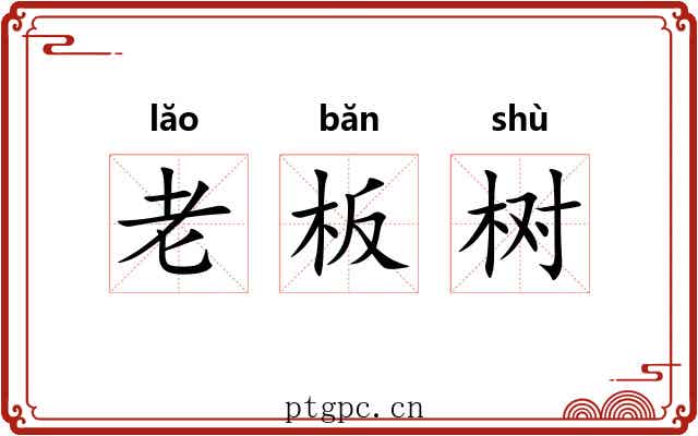 老板树