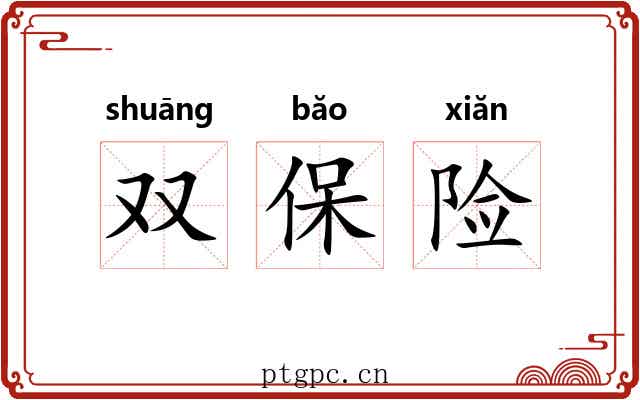 双保险