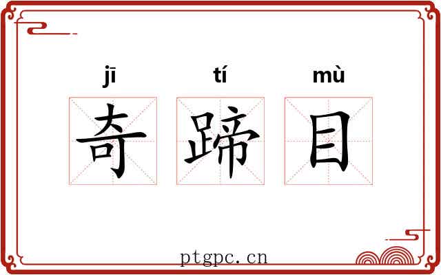 奇蹄目
