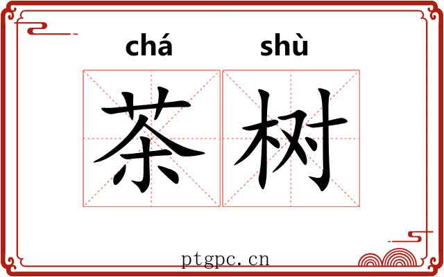 茶树 茶树