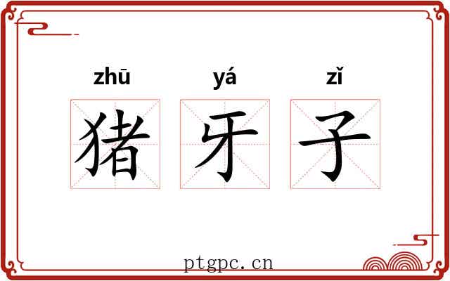 猪牙子 猪牙子