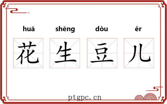 花生豆儿