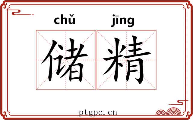 储精 储精