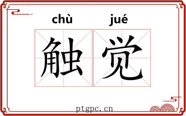 触觉 触觉