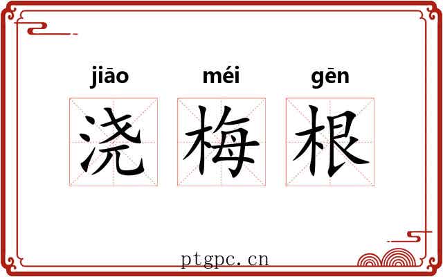 浇梅根