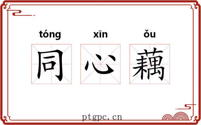 同心藕