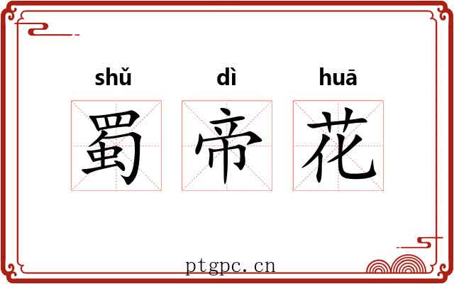 蜀帝花