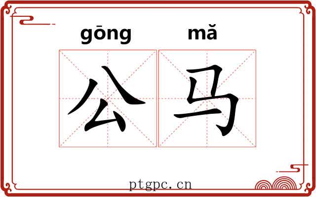 公马