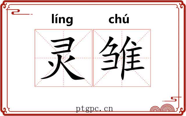 灵雏